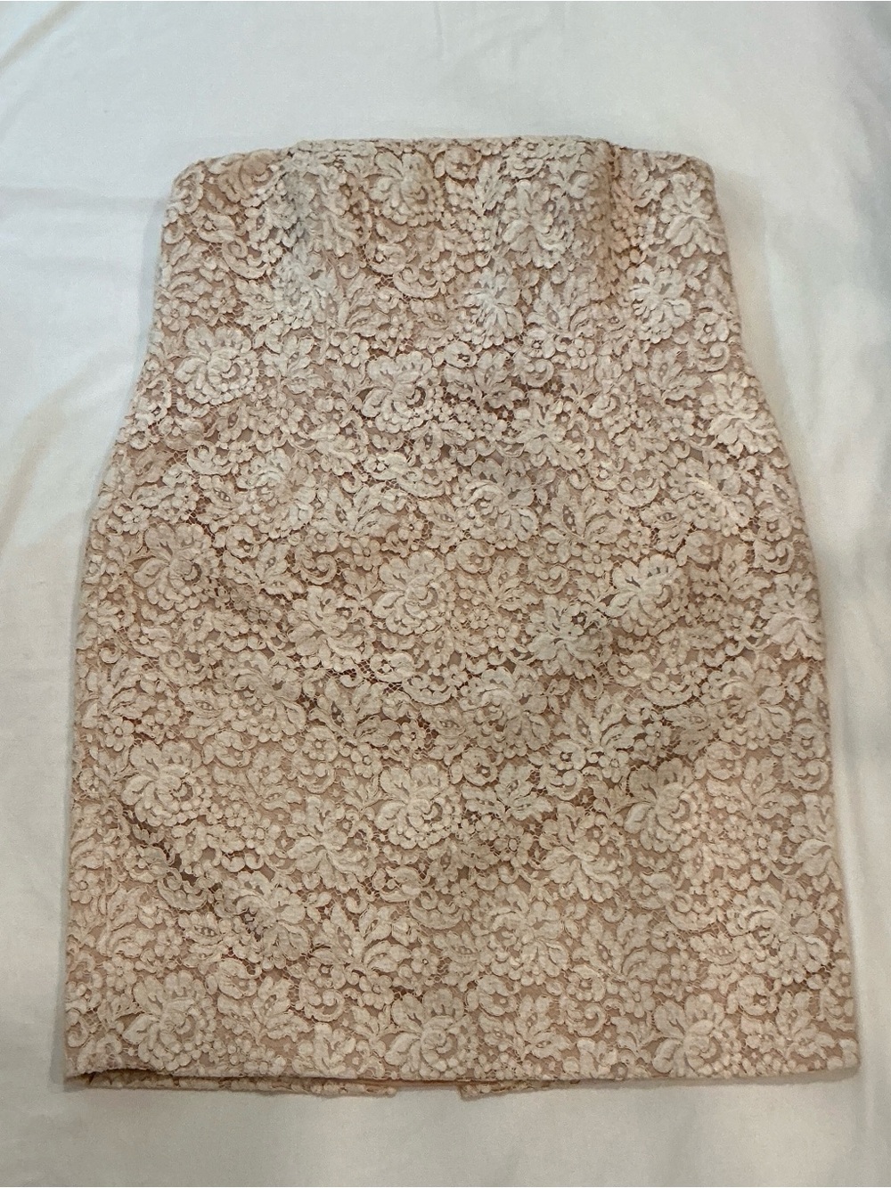 Carmen Marc Valvo Strapless Blush Lace Dress